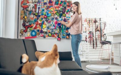 Jak zagospodarować ścianę w pokoju aby dodać wnętrzu charakteru?