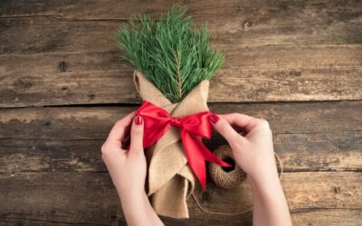 Jak zapakować drzewko na prezent i sprawić radość obdarowanemu?